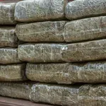 Marihuana zaplijenjena u Makedoniji vodi do porodice nekadašnjeg...