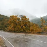 AMSCG: Putevi mokri, vidljivost smanjena