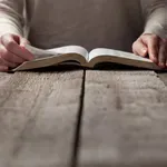 Savremena književnost: Otisak grada koji je posustao