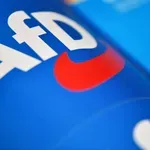 AfD porastao na rekordnih 28 odsto, pokazuje anketa INSA