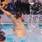 Ispod Vezuva zagrijavanje za Beograd, Savić sa 16 ajkula u Napulju