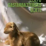 O odrastanju između kultura i jezika