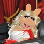 Snima se film o Mis Pigi