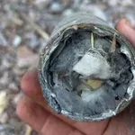 Gardijan: Izrael koristio široko zabranjenu kasetnu municiju u...