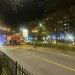 Kamion oborio stablo na Bulevaru Svetog Petra Cetinjskog,...