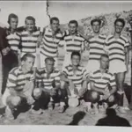 Raspuštanje Zore, najava Budućnosti