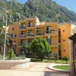 Drakić da objavi vožnje Perović i Paović: Iz risanskog Doma starih...