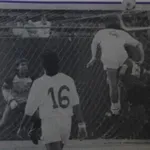 Vojo Vukčević - nebeski skakač