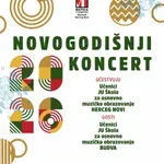 Novogodišnji koncert mladih instrumentalista