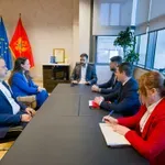 Radulović: Stručna znanja važna za unapređenje zakonodavstva