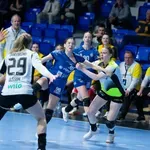 Abramović: Previše promašenih zicera, Grbić: Šteta zbog navijača