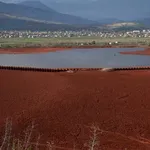 Crveni mulj kupuje država: Vlada mora u svoje vlasništvo da vrati...