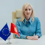 MEP: Program pristupanja Crne Gore EU je putokaz za zatvaranje...
