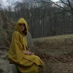 Vrijeme adaptacije i demon nesvodivosti