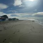 "Grozd" spasen, plaža na Adi kao nekad