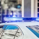 Beograd: Privedeni simpatizeri Milana Nedića, nosili palice i...