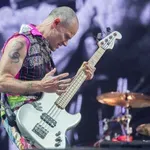 I neuspjeh je važan: Da objavi džez album ohrabrio ga citat Nila...