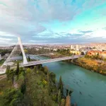 Neshvatljivi višak samopuzdanja