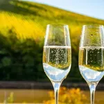 Mjehurići bez greške: kako da birate i pijete pjenušava vina