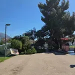 Bar: Stablo se srušilo na šetalištu, Komunalno upozoravalo Morsko...