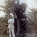 Rembo nakon stihova: Promijenio modernu poeziju i odustao od nje