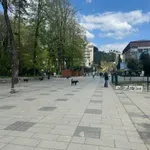 Podgorica, Bijelo Polje, Berane i Petnjica dobitnici Evropske...