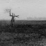 Nostalgija za stabilnošću svijeta