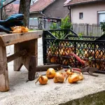 Subvencije za hranu, alat i preduzetnice: Vlada spremila 3,5...