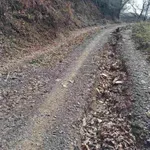Daju milione, a do katuna se ne može