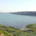 CIN-CG: Što ne može na Velikoj plaži, može uz Šasko jezero -...