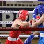 Crnogorska reprezentacija u Vrbasu sa osam boksera
