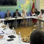 Upravni odbora Zajednice opština utvrdio tekst amandmana na...