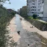 Bojoviću najveći projekat u istoriji Budve: Za projekat Grđevice...
