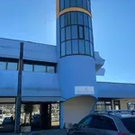 Vukmanović na čelu „Marine Bar”