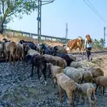 DPS Kotor: Ni nakon deset godina vlasti Jokić nije riješio problem...