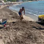 Parezanović: Sa pedalin nije izbacivano smeće, već trava koju je...