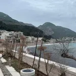 Dali milione za suvu fontanu i posušeno bilje: Novi trg u Sutomoru...