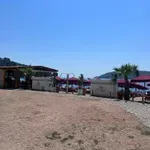 Careviću aminovan bar na Slovenskoj plaži: Epilog spora zbog...