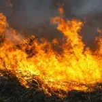 Požari širom Crne Gore: MUP i VCG izbacili 190 tona vode, aktivna...