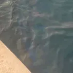 Masne mrlje u moru kod Svetog Marka: Sumnja se na ispuštanje...