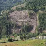 Delić i Kankaraš prijavili uništavanje šume u Andrijevici