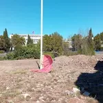 Zastava u prašini