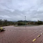 Slugama okupatora (ne) diže se spomenik: Bakić predlaže...