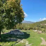 Promijenio prebivalište zbog funkcije? Mještani Komana traže...