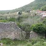 Masline i izvori da čekaju konačnu trasu: Maslinari bi da se...