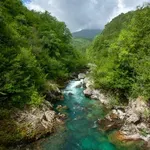 Rasprave bez kraja, Mrtvica bez zaštite: Predlog odluke o...