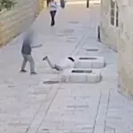 Video: šokanten napad na nuno sredi belega dne