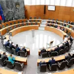 Po dobrih treh mesecih državni zbor zapušča vodja poslanske skupine Demokrati