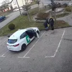 Iščejo ženski, ki sta odvrgli vrečko s sedmimi mladički, vsi so poginili