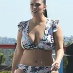 Svetovno znanih oblin ni več